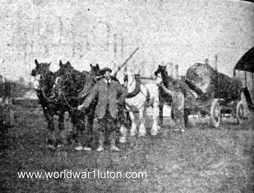 Henry Brown Bute saw mills 1919